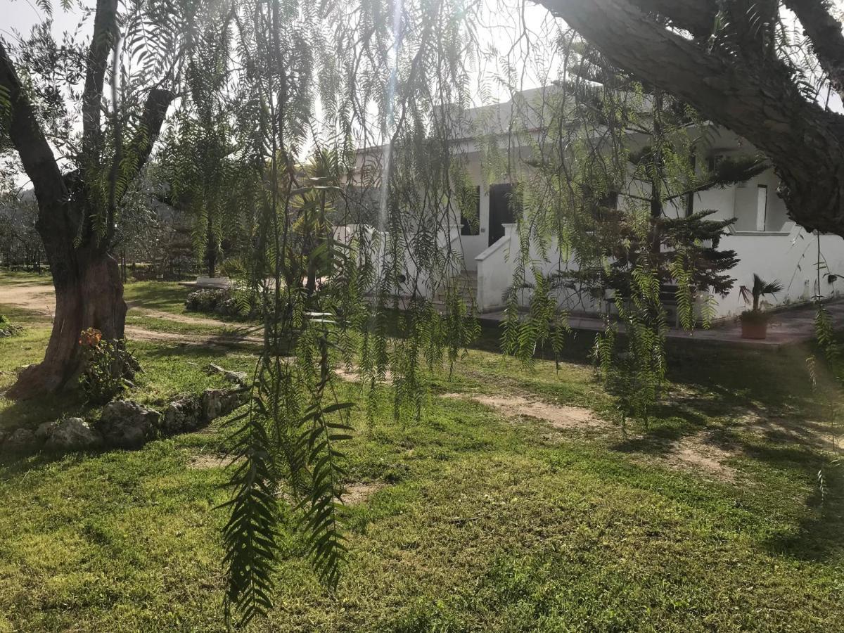 Villa Angela Case Vacanza Vieste Zewnętrze zdjęcie