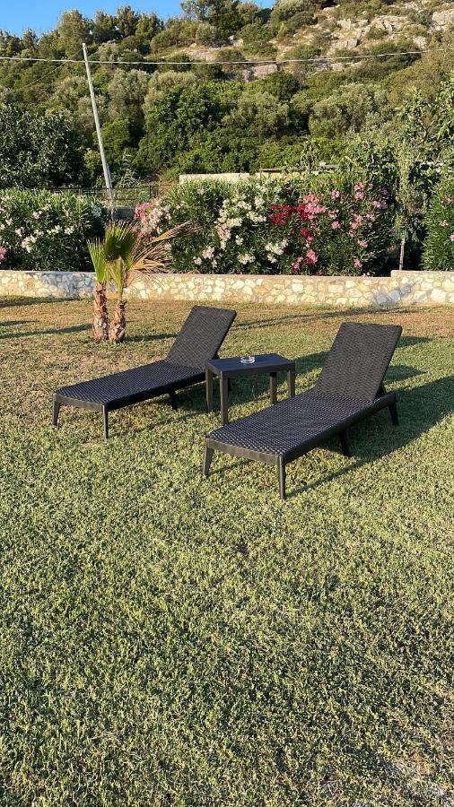 Villa Angela Case Vacanza Vieste Zewnętrze zdjęcie