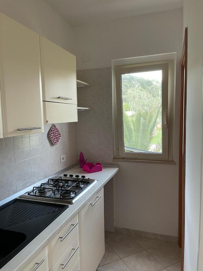 Villa Angela Case Vacanza Vieste Zewnętrze zdjęcie